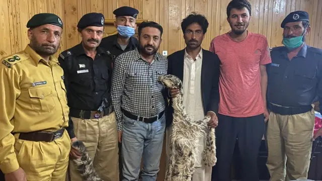 تیندوے کی کھال