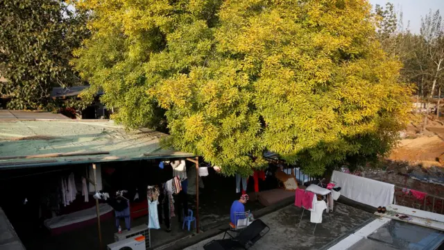 Bajo un frondoso árbol de hojas verdes se levanta un cobertizo en el que una paciente con la cabeza cubierta está sentada.