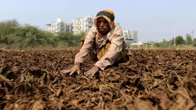 મહિલા ખેડૂત