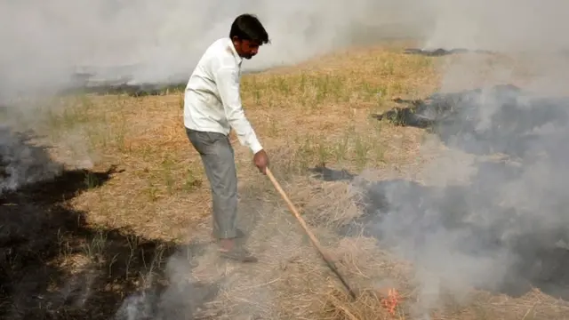 पराली जलाता एक किसान