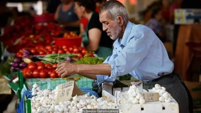 बोटोसानी इलाक़े की क़रीब 40 फ़ीसदी आबादी लहसुन की खेती करती है