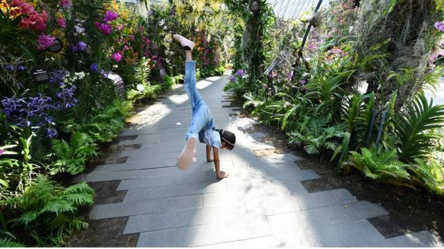 Uma garota brinca7games baixar aplicativo sobreum conservatório7games baixar aplicativo sobreCingapura