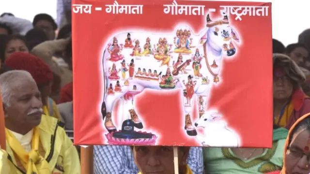 ગાયનીતસવીર