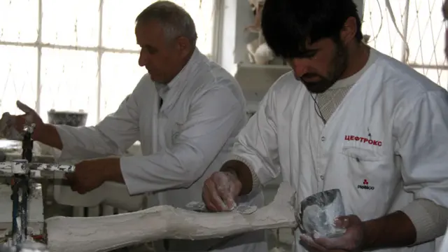 خدمات رایگان کارخانه اورتز و پروتز شهر دوشنبه