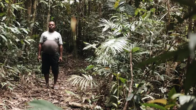 Papua, pembakaran hutan, Korindo, Korea Selatan, petrus kinggo