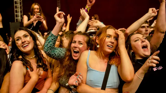 Fans at Sefton Park gig in Liverpool
