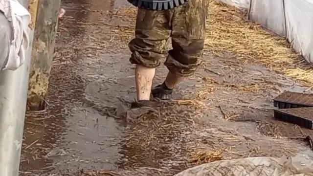 Теплицада ишлаётган мигрантлар