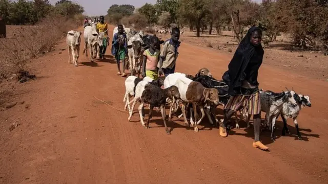 Une des attaques a eu lieu sur un marché hebdomadaire de bétail où les populations viennent acheter, vendre ou échanger