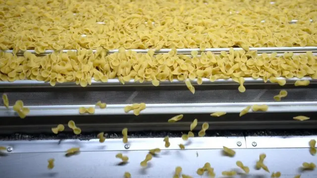 makarna türkiye üretimi