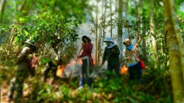 ชาวบ้านทำแนวกันไฟ