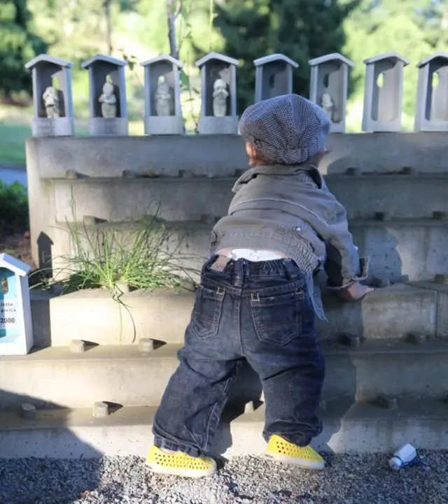 taman, kebun, keguguran, kanada, jepang, buddha