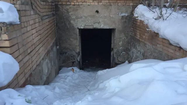 Сосновый бор