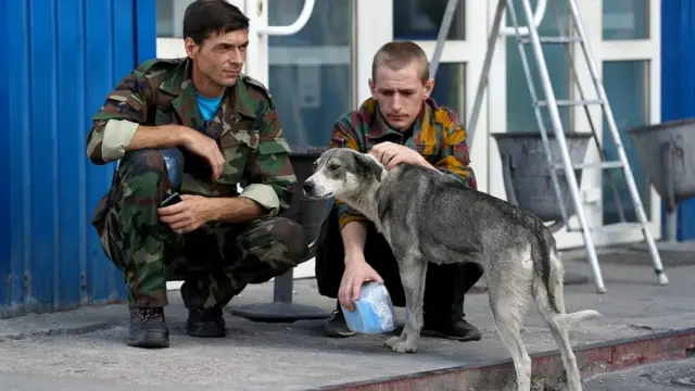 الحراس في المنطقة العازلة يطعمون الكلاب الضالة ويعتنون بها، ويقول البعض إنها تنبههم عند اقتراب المتسللين