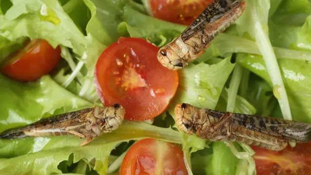 อาหารจากแมลง