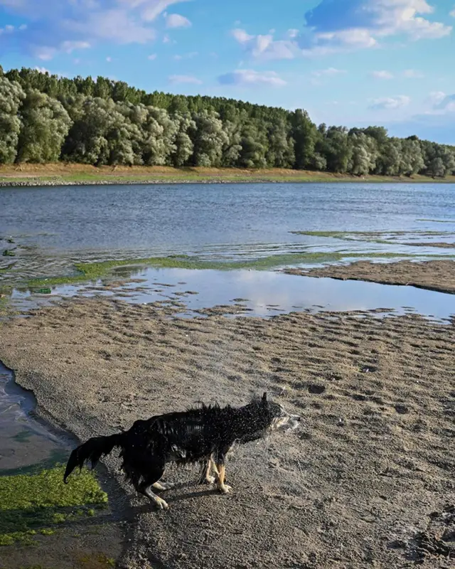 氣候變化：歐洲河流乾涸對我們預示的警告 Bbc News 中文