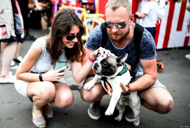 पालतू जानवर