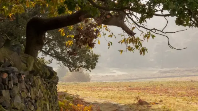 Руральная идиллия