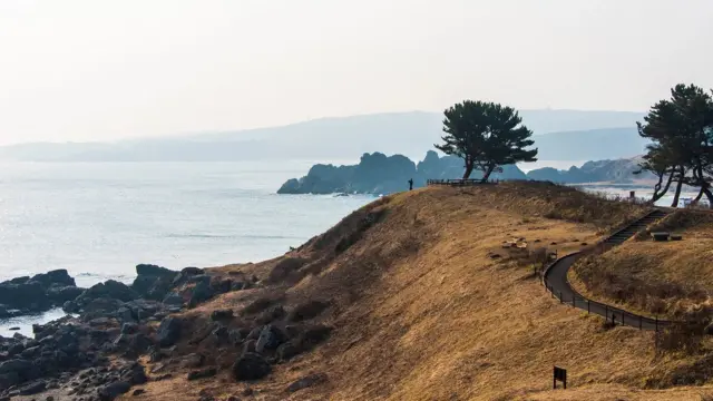 Jalur Pesisir Michinoku