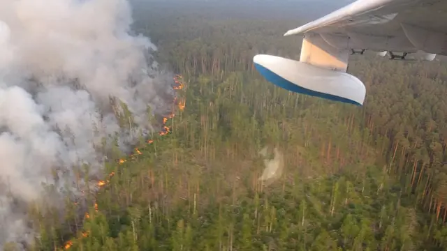 Лесной пожар