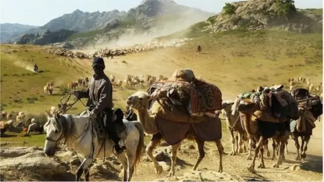 జిన్జియాంగ్