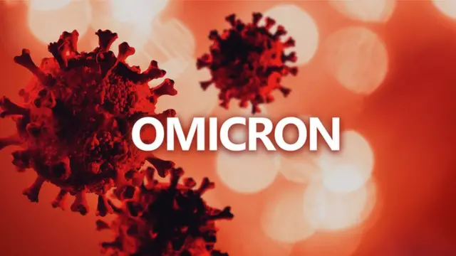 BA.4 sub-variant of Omicron