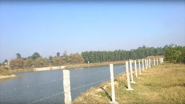 பெங்களூருக்கு அருகில் ஏரியை தூர்வாரி சோலைவனமாகிய கிராமம்