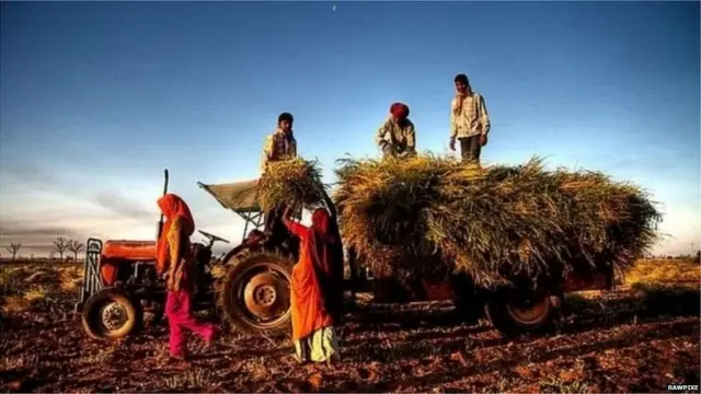 ਪੰਜਾਬ ਦਾ ਏਪੀਐੱਮਸੀ ਐਕਟ 1961 ਵਿੱਚ ਲਿਆਂਦਾ ਗਿਆ ਸੀ