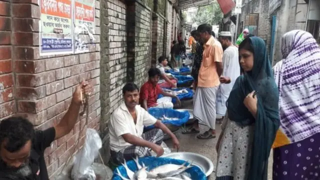 ইলিশের উৎপাদন প্রায় দ্বিগুণ হয়েছে ১০ বছরে