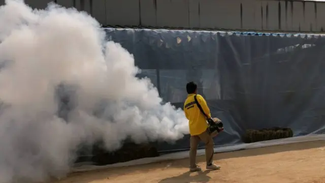 กาฬโรคแอฟริกาในม้า