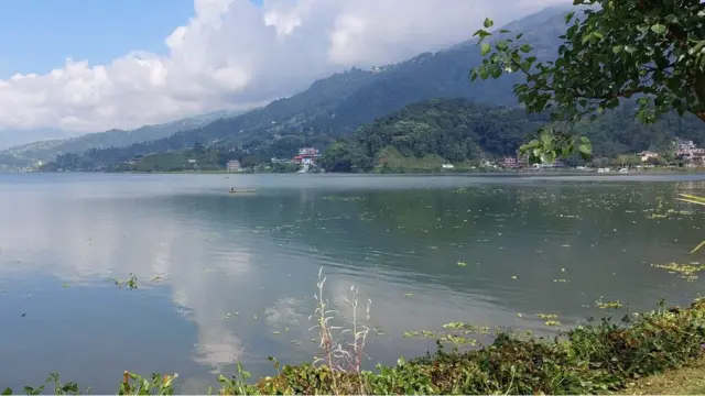 फेवाताल