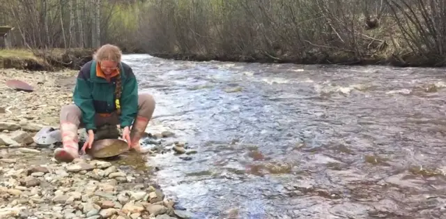 डॉसन सिटी, कनाडा