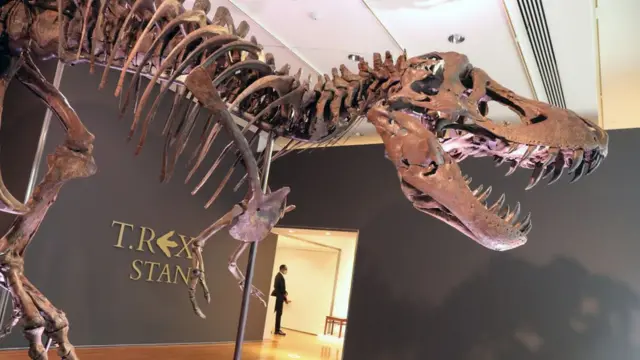 Тираннозавр Стэн