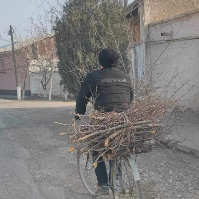 Ўтин олиб кетаётган йигит