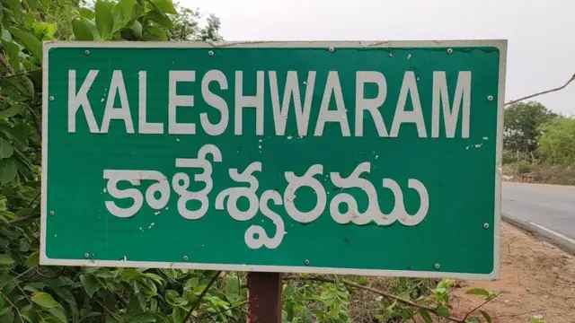 చేపలు