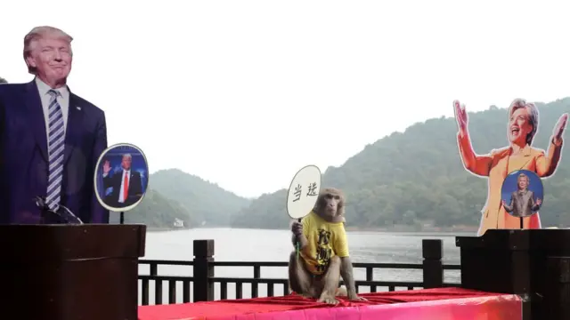 Pilpres AS di Cina: Seekor monyet dengan kaus bertuliskan "Raja ramalan" memegang plakat bertuliskan 'terpilih' di Changsa, Cina.