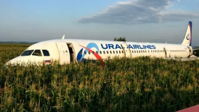 Ural Havayolları uçağı, bir martı sürüsünün arasına girerek, mısır tarlasına acil iniş yaptı.