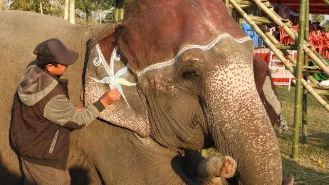 हात्ती महोत्सव