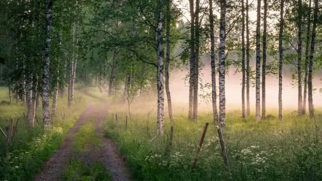 జ్ఞాపకశక్తి సరిగా లేకపోతే ఏకాగ్రత కూడా కష్టం