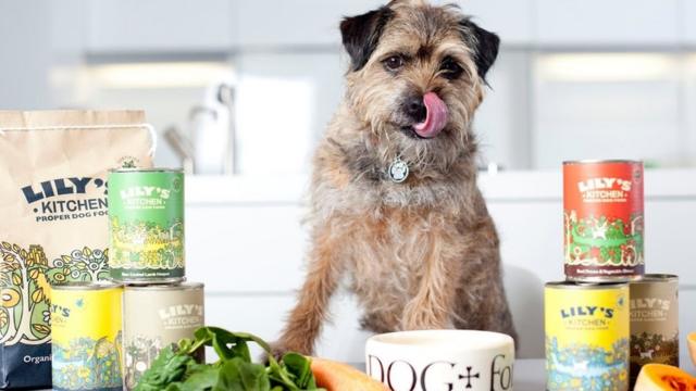 Lily's kitchen dog food 2024 tesco