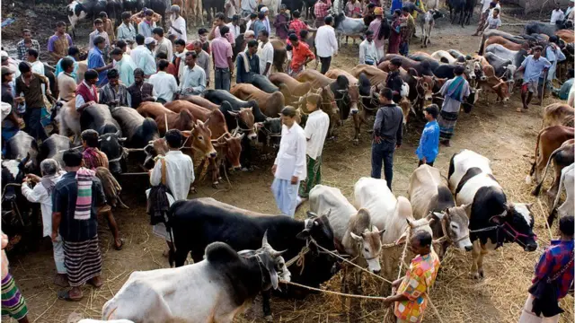 বাংলাদেশের একটি গরুর হাট