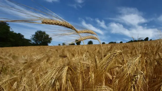 कृषि कार्य में टेक्नॉलॉजी का इस्तेमाल