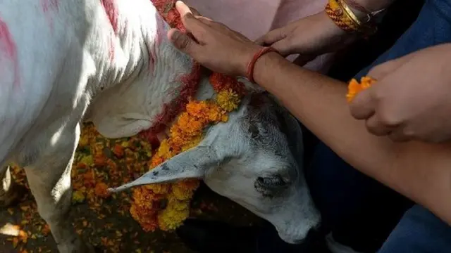 பசு பாதுகாப்பு