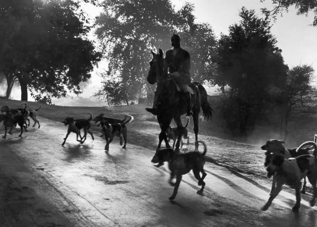 કર્નલ સાહનીની તસવીર