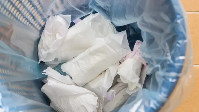 सॅनिटरी वेस्ट