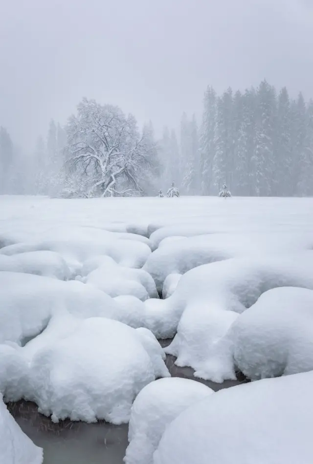 Paisagemcasa de apostas a partir de 1 realneve