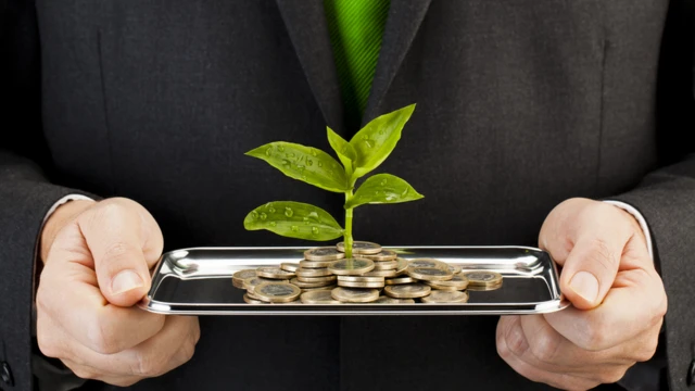 Побег дерева растет на монетах