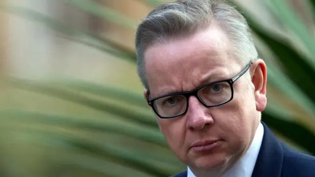 UK Environment Minister Michael Gove