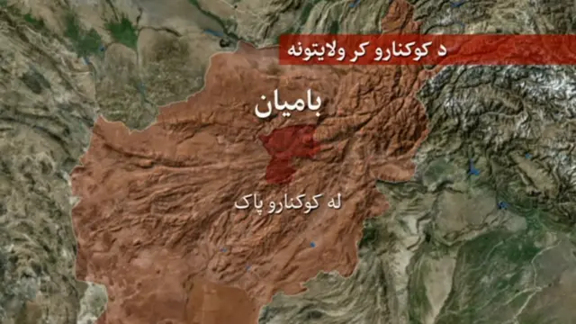 له کوکنارو پاک ولایت