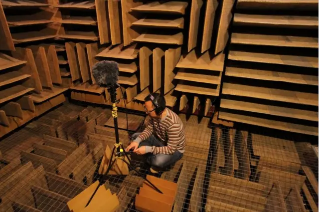 "В поиске тишины"