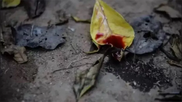 પિરિયડ્સમાં સેક્સ